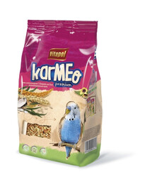 POKARM DLA P.FALISTEJ 500g W WORKU