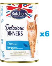 BUTCHER'S Delicious Dinners, karma dla kota, kawałki z pstrągiem w galaretce, 400g x 6