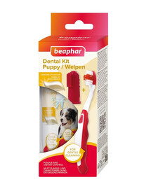BEAPHAR Puppy Dental Kit Zahnbürste und Zahnpasta für Welpen 50g