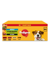 PEDIGREE Nassfutter Mix Geschmacks in Soße für adulte Hunde 80x100 g