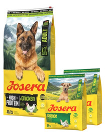 JOSERA High Protein Adult Chicken Hochenergiefutter für Sporthunde 12,5kg + 2x900g GRATIS