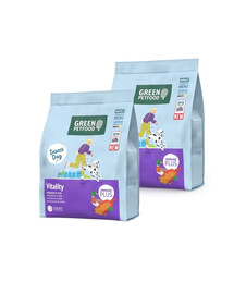 GREEN PETFOOD InsectDog Vitalität Trockenfutter mit Insektenprotein und Ente für adulte Hunde 2x3kg