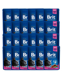 Premium Adult kurczak i indyk saszetka dla kota 24 x 100g