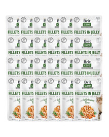 Care Fillets in Jelly tuńczyk saszetki dla kota 24 x 85 g