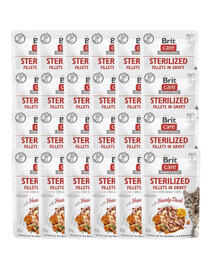 CARE Fillets in Gravy Pouch Sterilized Hearty Duck 24x85g z kaczką dla kotów sterylizowanych