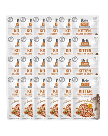 CARE Fillets in Gravy Pouch Kitten Savory Salmon 24x85g z łososiem dla kociąt