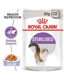 ROYAL CANIN Sterilised in Gelee Nassfutter in Gelee für kastrierte Katzen 24 x 85 g