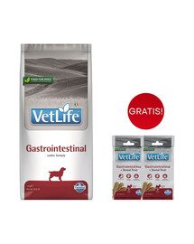 FARMINA Vet Life Gastrointestinal für Hunde mit Verdauungsproblemen 12 kg + dentale Leckerlis 2x60 g GRATIS!