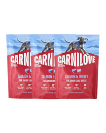 CARNILOVE Active Junior Large Breeds Lachs und Truthahn für Junior Junghunde großer Rassen 3x1,5 kg