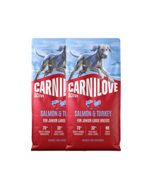 CARNILOVE Active Junior Large Breeds Lachs und Truthahn für Junior Junghunde großer Rassen 2x12 kg