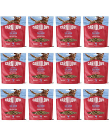 CARNILOVE Crunchy Snack mit Lachs und Blaubeeren für adulte Hunde knusprig getreidefrei 12x200g