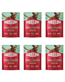 CARNILOVE Nassfutter Pastete mit Truthahn, Fasan und Himbeerblättern für adulte Hunde getreidefrei 6x300g