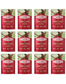CARNILOVE Nassfutter Pastete mit Truthahn und Wachtel für adulte Hunde getreidefrei 12x300g