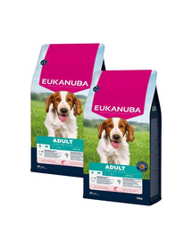 EUKANUBA Adult Small Medium Breeds Salmon Barlej Trockenfutter mit Lachs und Gerste für S und M Hunde 2x12 kg
