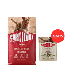 CARNILOVE Active Trockenfutter Lamm und Wildschwein für adulte Hunde getreidefrei 4 kg + Dog Freeze Dried Lamb 60g GRATIS