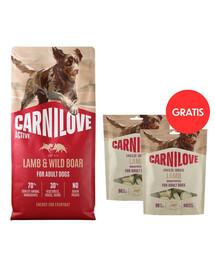 CARNILOVE Active Trockenfutter Lamm und Wildschwein für adulte Hunde getreidefrei 12 kg + Dog Freeze Dried Lamb 2x60g GRATIS