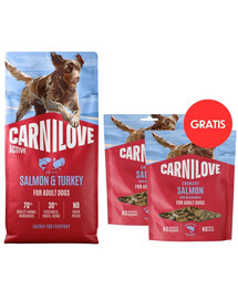CARNILOVE Active Adult Trockenfutter mit Lachs und Truthahn für aktive Hunde aller Rassen getreidefrei 12 kg + Crunchy Snack Salmon 2x200g