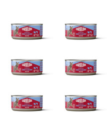 CARNILOVE Cat Can Paté Turkey and Salmon for Kittens 6x100 g z indykiem i łososiem, pasztet dla kociąt