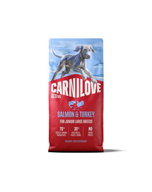 CARNILOVE Active Junior Large Breeds Lachs und Truthahn für Junior Junghunde großer Rassen 12 kg