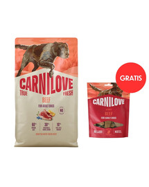 CARNILOVE True Fresh Trockenfutter mit Rind für adulte Hunde getreidefrei 4 kg + Dog Jerky Beef Fillet 100g