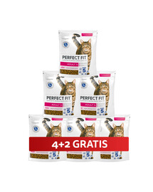 PERFECT FIT Adult 1+ 6 x 750 g sucha karma pełnoporcjowa dla dorosłych kotów bogata w świeżego łososia 4+2 GRATIS