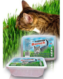 BENEK Trichter für schnell wachsendes Gras