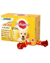 PEDIGREE Pedigree Junior in Gelee 12x100g