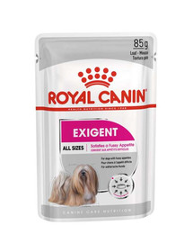 ROYAL CANIN EXIGENT Nassfutter für wählerische Hunde 85 g