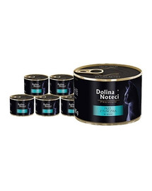 DOLINA NOTECI Premium Lachsfilet 185 g Nassfutter für Katzen