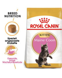 ROYAL CANIN Maine Coon Kittenfutter trocken für Kätzchen 4 kg