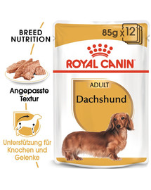 ROYAL CANIN Dachshund Adult Hundefutter nass für Dackel 12 x 85 g