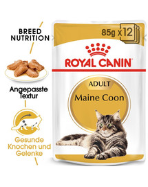 ROYAL CANIN Maine Coon Adult Katzenfutter nass 12 x 85 g