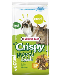 VERSELE-LAGA Crispy Muesli Rabbits 400g