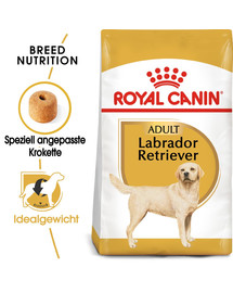 ROYAL CANIN Labrador Retriever Adult Hundefutter trocken 24 kg (2 x 12 kg)