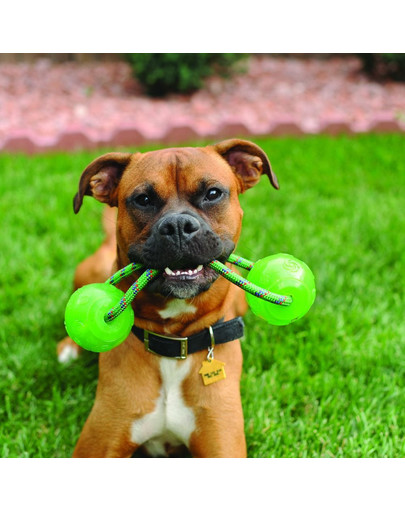 KONG Squeezz Ball with Rope L
