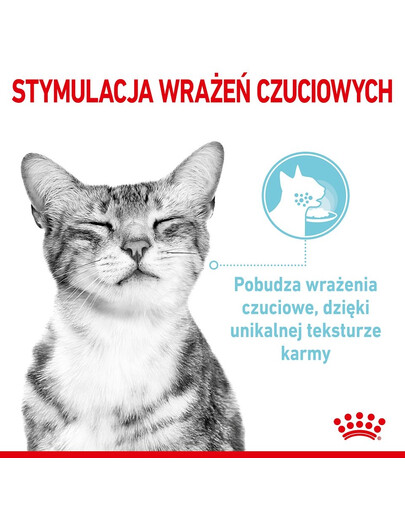 ROYAL CANIN Sensory Smell, Taste, Feel in Soße für Katzen 12 x 85 g Erwecken der Sinne