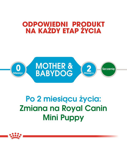 ROYAL CANIN Mini Starter Mother & Babydog 8 kg Trockenfutter für trächtige und säugende Hündinnen und Welpen, von 4 bis 8 Wochen, kleine Rassen