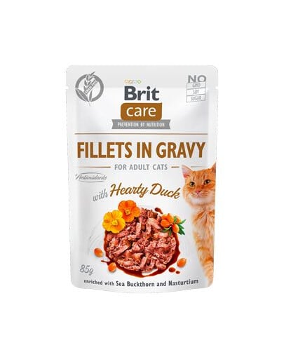 BRIT Care Fillets in Jelly Beutel in Soße für Katzen 24 x 85 g