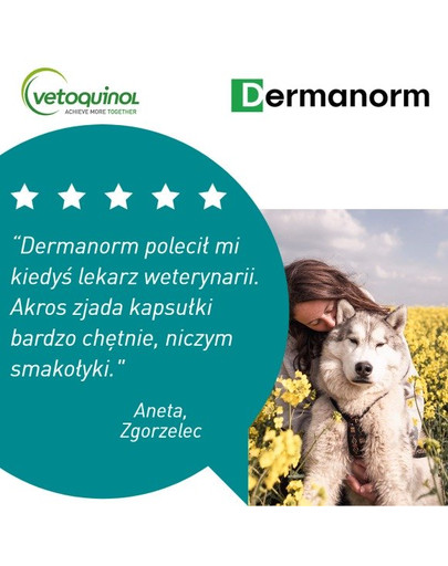 VETOQUINOL Dermanorm VTQ care 90 Hauttabletten für Hunde und Katzen