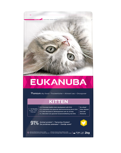 EUKANUBA Katze Kitten Alle Rassen Healthy Start Huhn & Leber 2 kg
