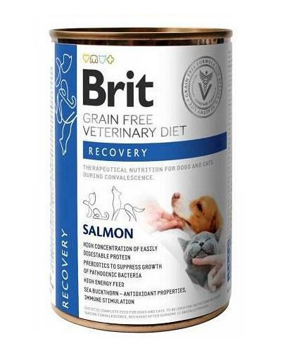 BRIT Veterinary Diet Recovery Salmon Nassfutter für Hunde und Katzen 400 g