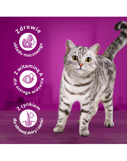 WHISKAS Adult 300g Trockenfutter für ausgewachsene Katzen mit leckerem Rindfleisch