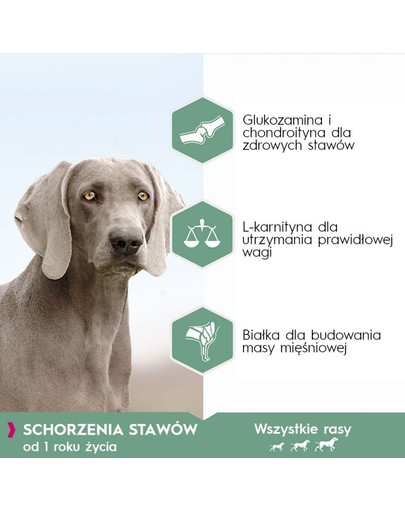EUKANUBA Daily Care Sensitive Joints Trockenfutter für ausgewachsene Hunde mit sensiblen Gelenken 12 kg