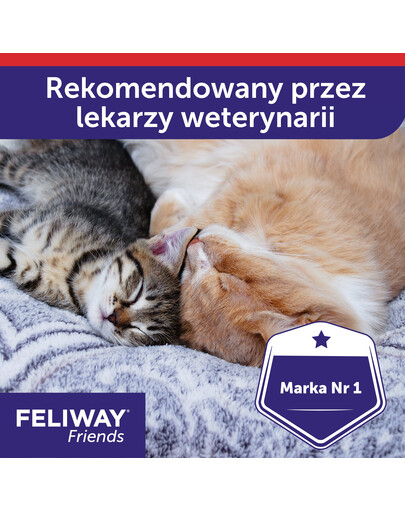 FELIWAY Friends Diffusor + Pheromonkartusche für Konflikte zwischen Katzen