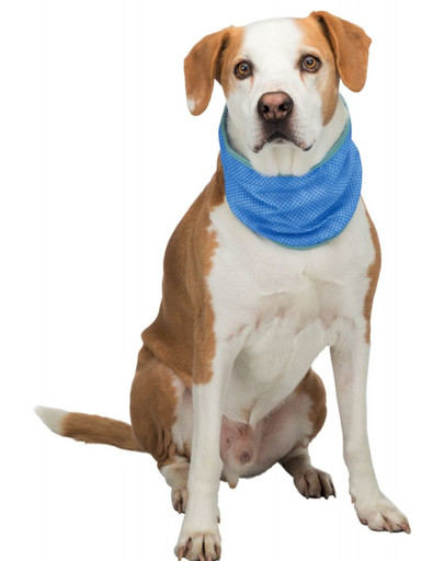 TRIXIE Kühlende Bandage für Hunde PVA, S: 20-30 cm