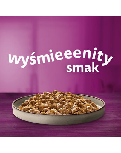 WHISKAS Adult 48x85g Beutel Drobiowe Frykasy Katzennassfutter in Gelee mit: Huhn, Pute, Geflügel, Ente