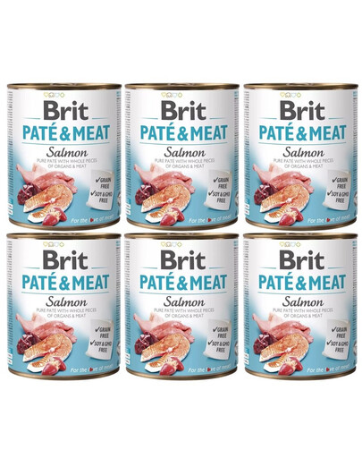 BRIT Pate&Meat salmon 6x800 g Lachspasteten für Hunde