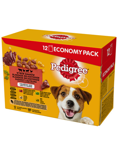 PEDIGREE Pedigree Adult Hundenassfutter für ausgewachsene Hunde im Portionsbeutel 48x100g