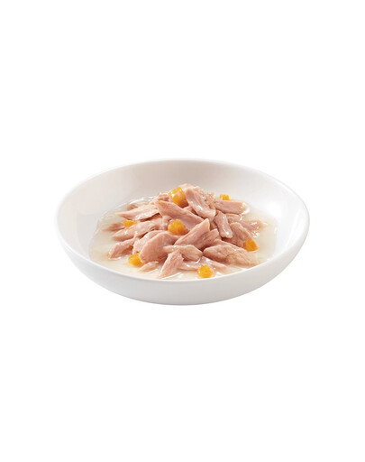 SCHESIR Thunfisch mit Kürbis 70G