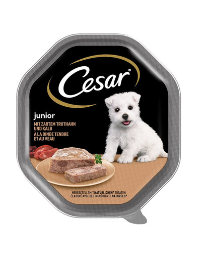 CESAR Junior tacka 150 g pasztet z indykiem i cielęciną dla szczeniąt